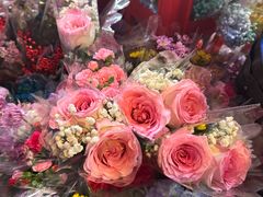-越秀西湖花市(广州城市广场花卉店)
