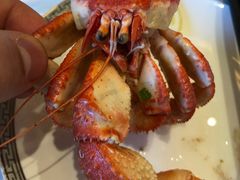 -渔公码头·九龙湾国际饭店