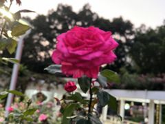 -人民公园(罗湖区)