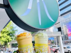 -茉酸奶(春熙路店)