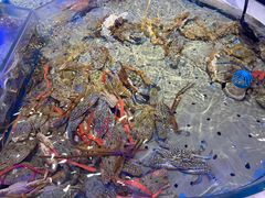 -澜悦港海鲜体验主题餐厅