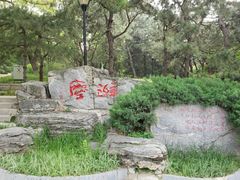 -玲珑塔公园