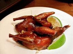 -觅唐MITONG(鸟巢店)