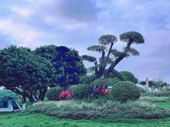 -红花山公园