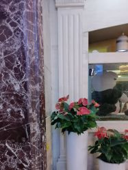 -武汉五洲整形外科医院