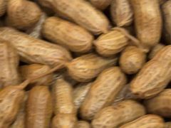 -郑喜旺烧烤(郑州总店)