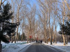 -长春公园(普阳街道)