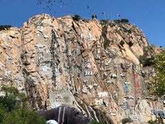 -西霞口神雕山野生动物世界