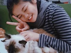 -猫亿天猫咖