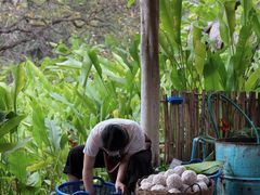 -大象粑粑造纸公园