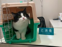 -立德动物医院·24小时中心(番禺区院区)