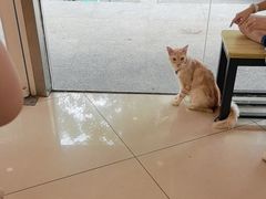 -艾贝尔宠物医院 ·中兽医·宠保定点(北门桥店)