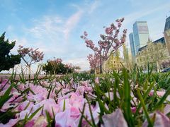 -东港音乐喷泉广场