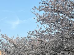 -堤角公园