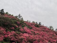 -木兰云雾山