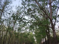 -西安汉城湖景区