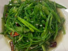 -泸沽肴(泸沽湖大洛水村农村信用社旁店)