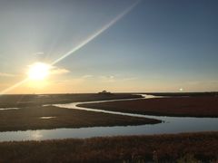 -红海滩国家风景廊道