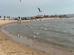 -老虎石海上公园