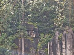 -五营红松林海景区