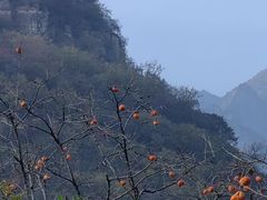-狼牙山风景区