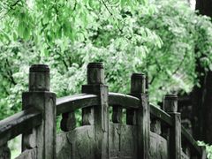 -青龙山国家森林公园