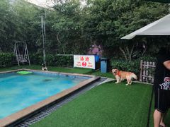 -汪说喵讲宠物乐园宠物酒店(红星美凯龙店)
