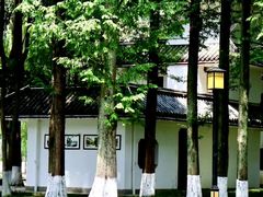 -温江公园