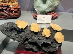 -湖南省地质博物馆