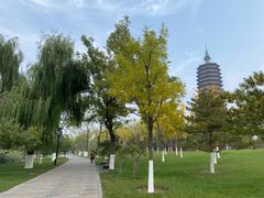 -西海子公园