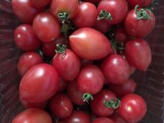 -兴芮温泉度假区