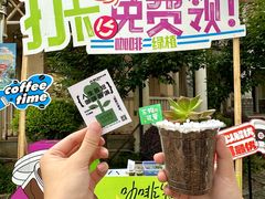 -重庆海昌加勒比海水世界