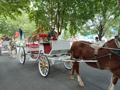 -辛玛王国游乐园