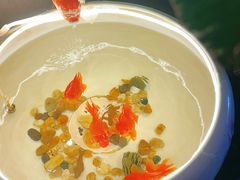 -厉家菜(金宝街店)