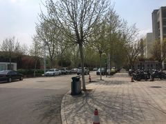 -山东理工大学