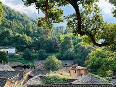 -杨家堂村