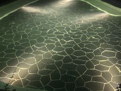 -海兰云天度假区温泉