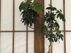 -同里国家湿地公园