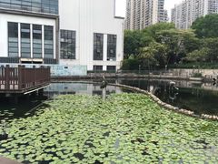 -苏州河梦清园环保主题公园