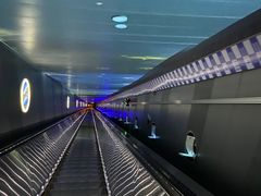 -白鹤梁水下博物馆