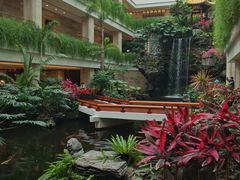 -广州白天鹅宾馆