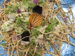 -山外山·林语花园餐厅