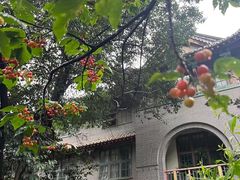 -四川大学(华西校区)