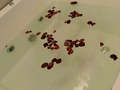 -三亚亚龙湾雅高铂尔曼别墅度假酒店