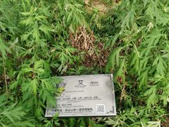 -广州神农草堂中医药博物馆