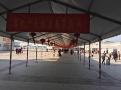 -阜阳站