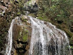 -藏龙百瀑风景区