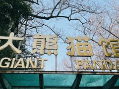 -北京动物园熊猫馆