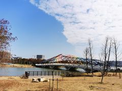 -南汇新城城市公园