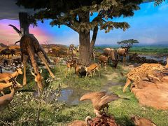 -国家自然博物馆